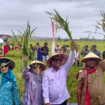 Panen Raya di Serut Kobi, Bupati Malteng: Wujudkan Asta Cita Presiden