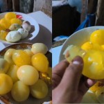 Warga Pulau Ay Temukan Telur Diduga Palsu, Beredar Luas di Media Sosial