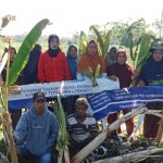 Kelompok Demplot Sepa Tuntut Ganti Rugi Rp250 Juta Atas Penyerobotan dan Pengrusakan Tanaman