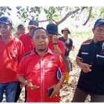 Peringati Bulan Bung Karno, PDI Perjuangan SBB Tanam Pohon di Kairatu dan Inamosol